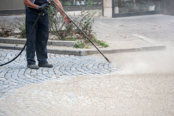 Best Dumpster Area Cleaning  in Asbury Lake, FL